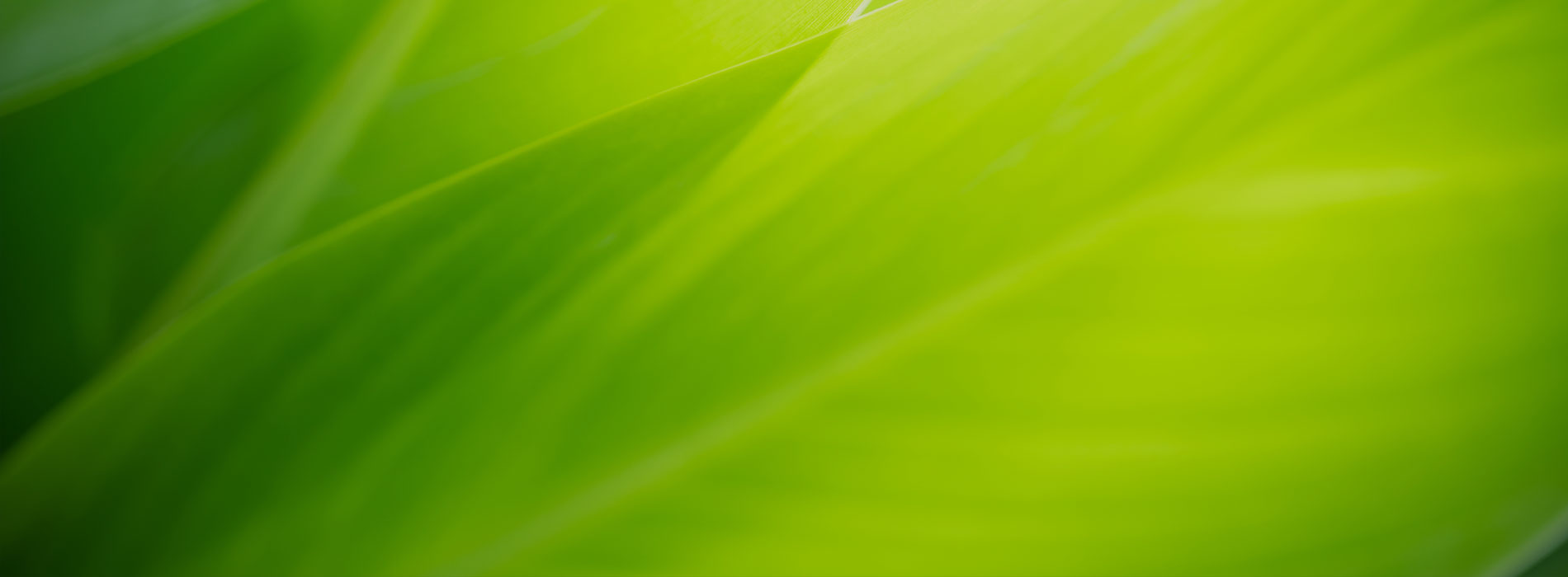 Gramercy Smiles | Invisalign®, Veneers and Preventative Program